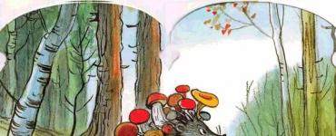 Короткая сказка про город грибов